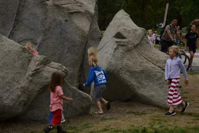 DSC_3246 (Large).JPG